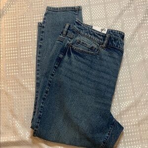 Joe Fresh plus size women’s blue denim jeans, size 18W.